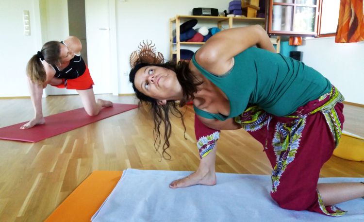 Knoten freigestellt 750