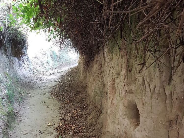 Der Weg des Schamanen - schamanische Basisausbildung